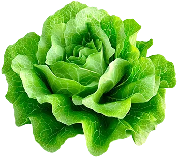 Салат