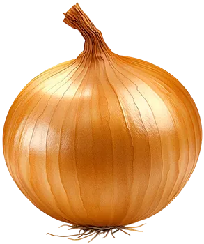 Лук