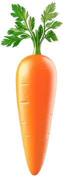 Морковь