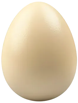 Яйцо