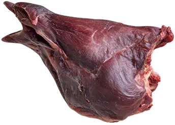 Мясо ястреба