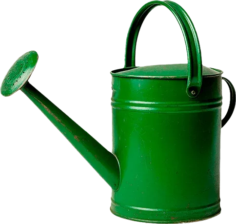 Лейка