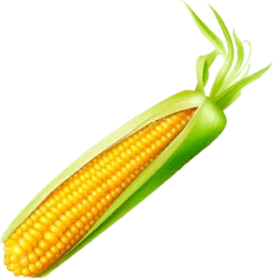 Кукуруза