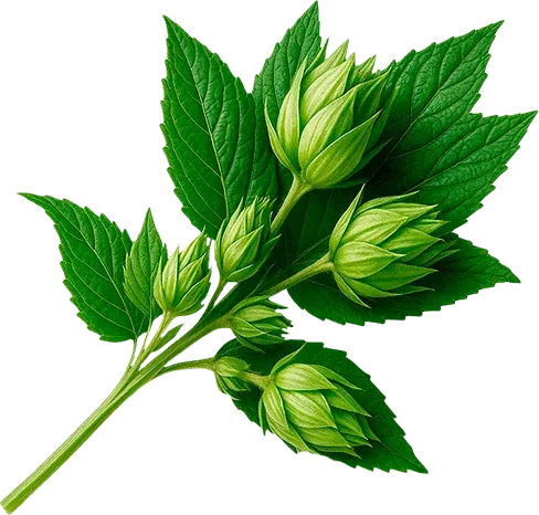 Куст Green