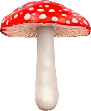 Мухомор