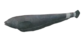 Призрачная рыба