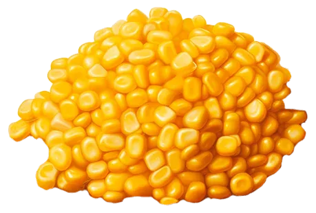 Кукуруза