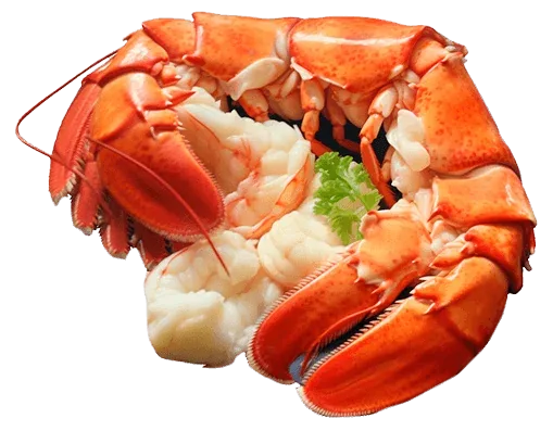 Мясо лобстера