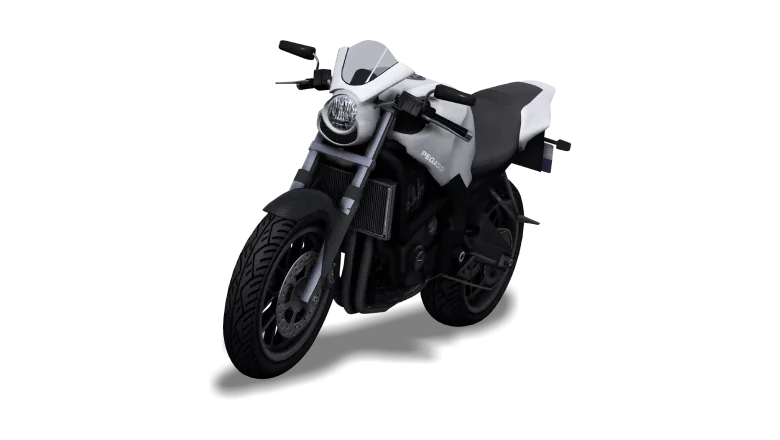Pegassi Ruffian
